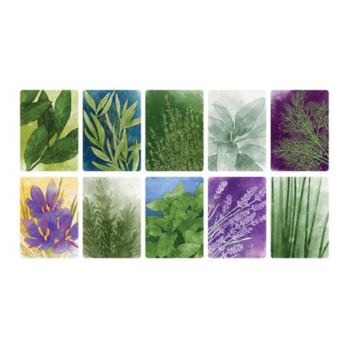 Herbáceas